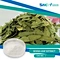 Senna Leaf Extract is a natural supplement made from the leaves of the Senna plant, which is native to North Africa and the Middle East. The leaves of this plant have been used for centuries in traditional medicine as a natural laxative.